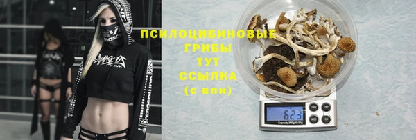 амф Ладушкин