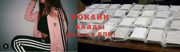 амф Ладушкин